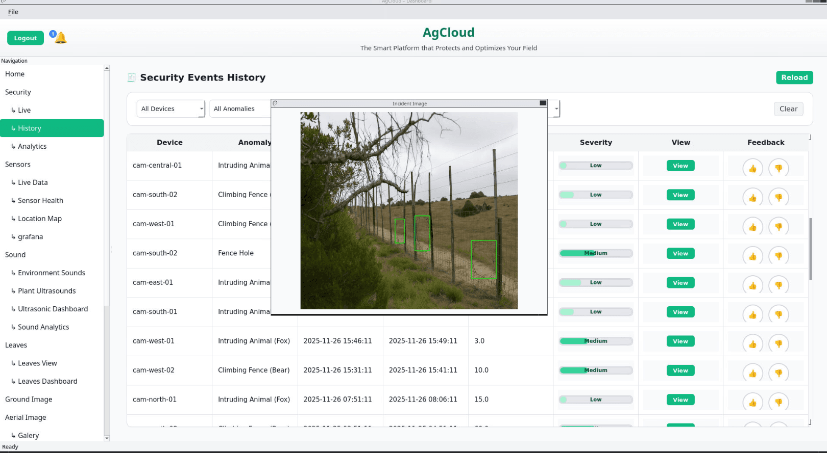 Sara V. - Task Preview