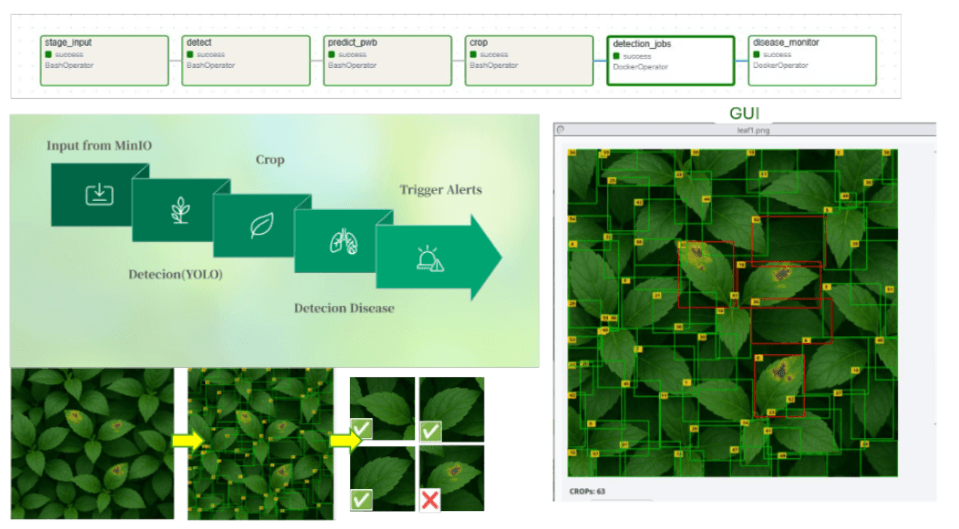 Sara H. - Task Preview