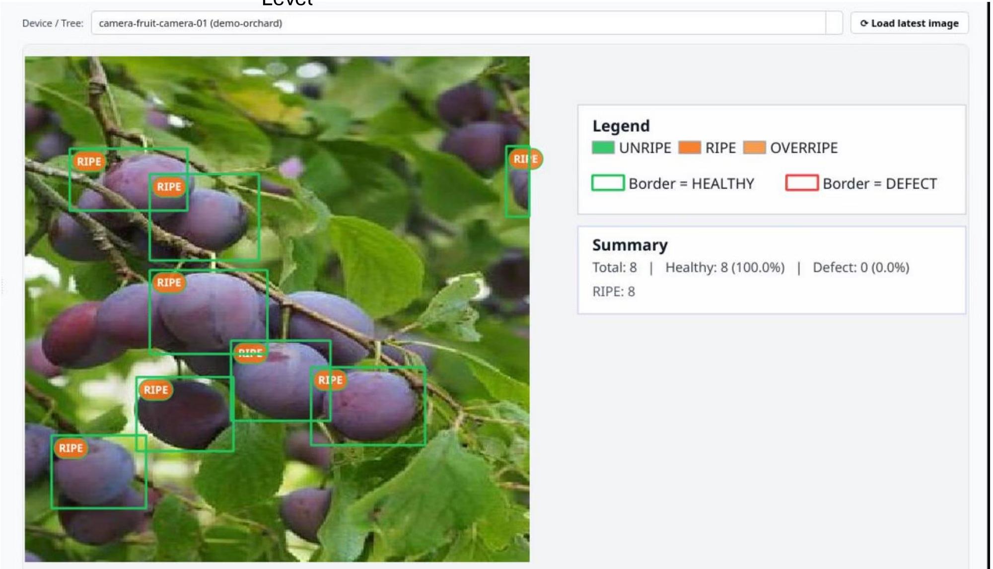 Efrat K. - Task Preview