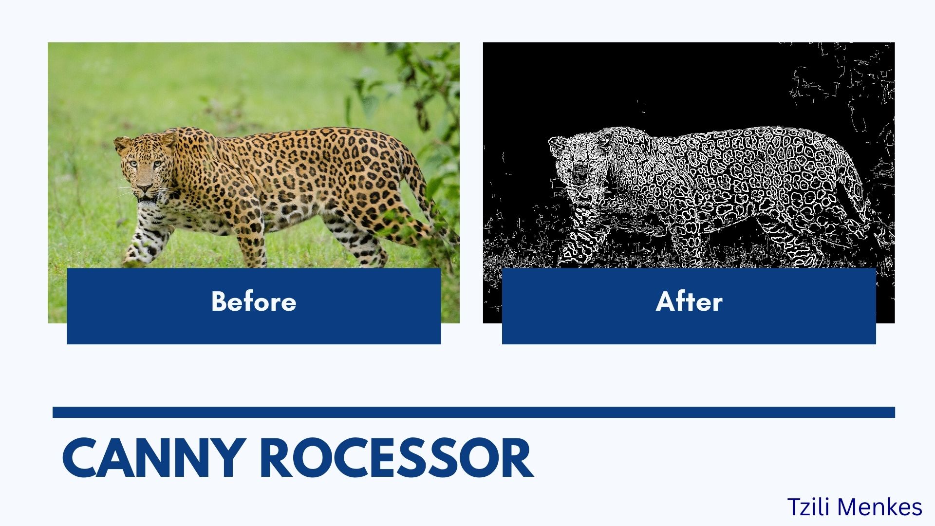 Tzili M. - Task Preview