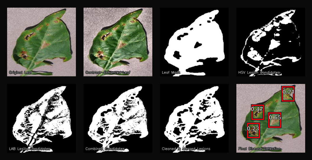 Chani F. - Task Preview