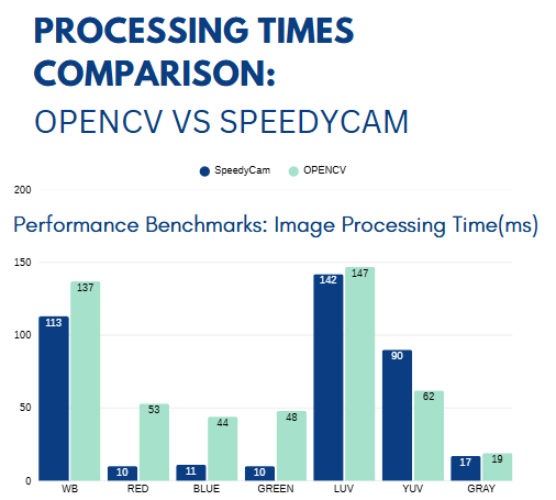 Tamar P. - Task Preview