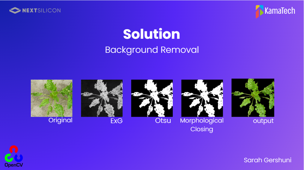 Sarah G. - Task Preview