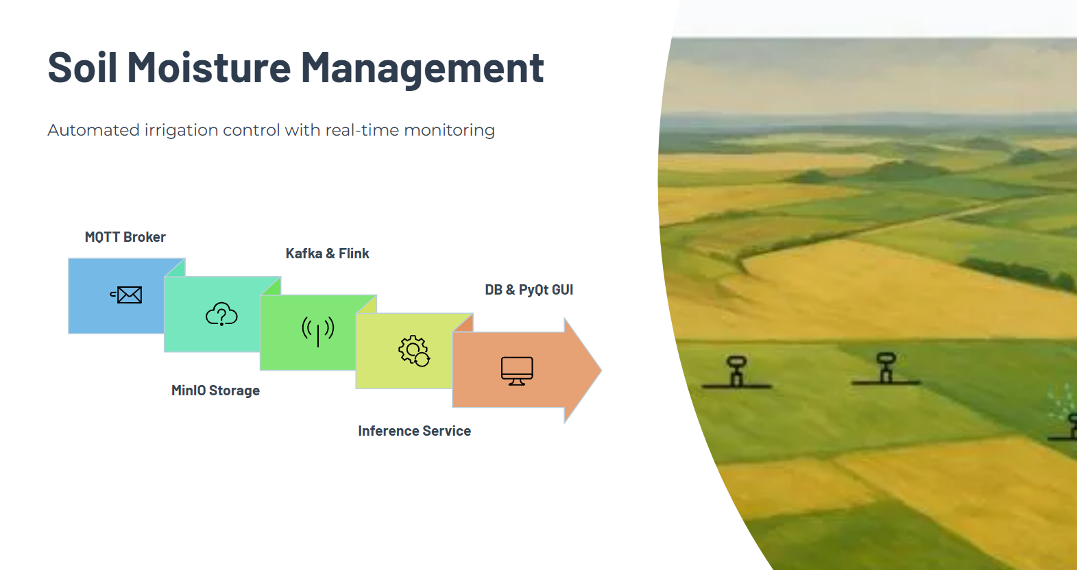 Tamar S. - Task Preview